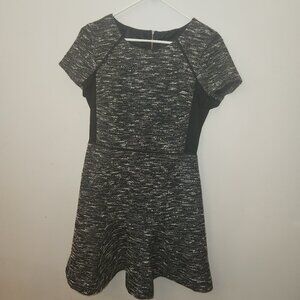 J Crew Womens Mixed Media Tweed Gray Casual Zipper Fit and Flare Dress 6